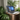 HP Elitebook X360 1040 G8 (Leased)